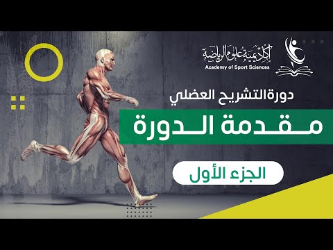 دورة التشريح العضلي